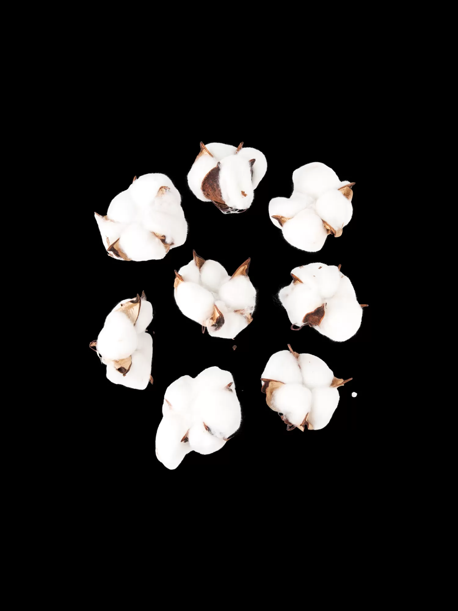 Dekorative Bomullsblomster*Søstrene Grene New