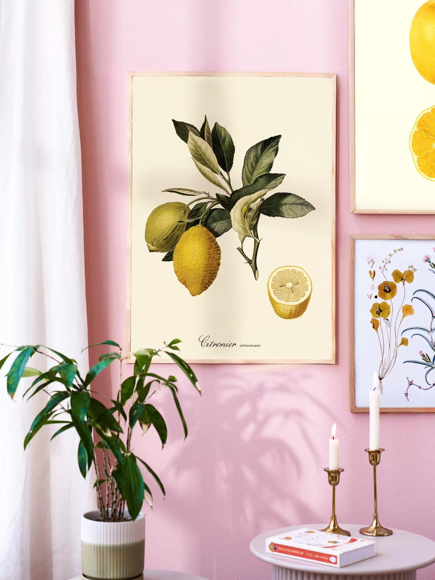 Plakat 50 X 70*Søstrene Grene Shop