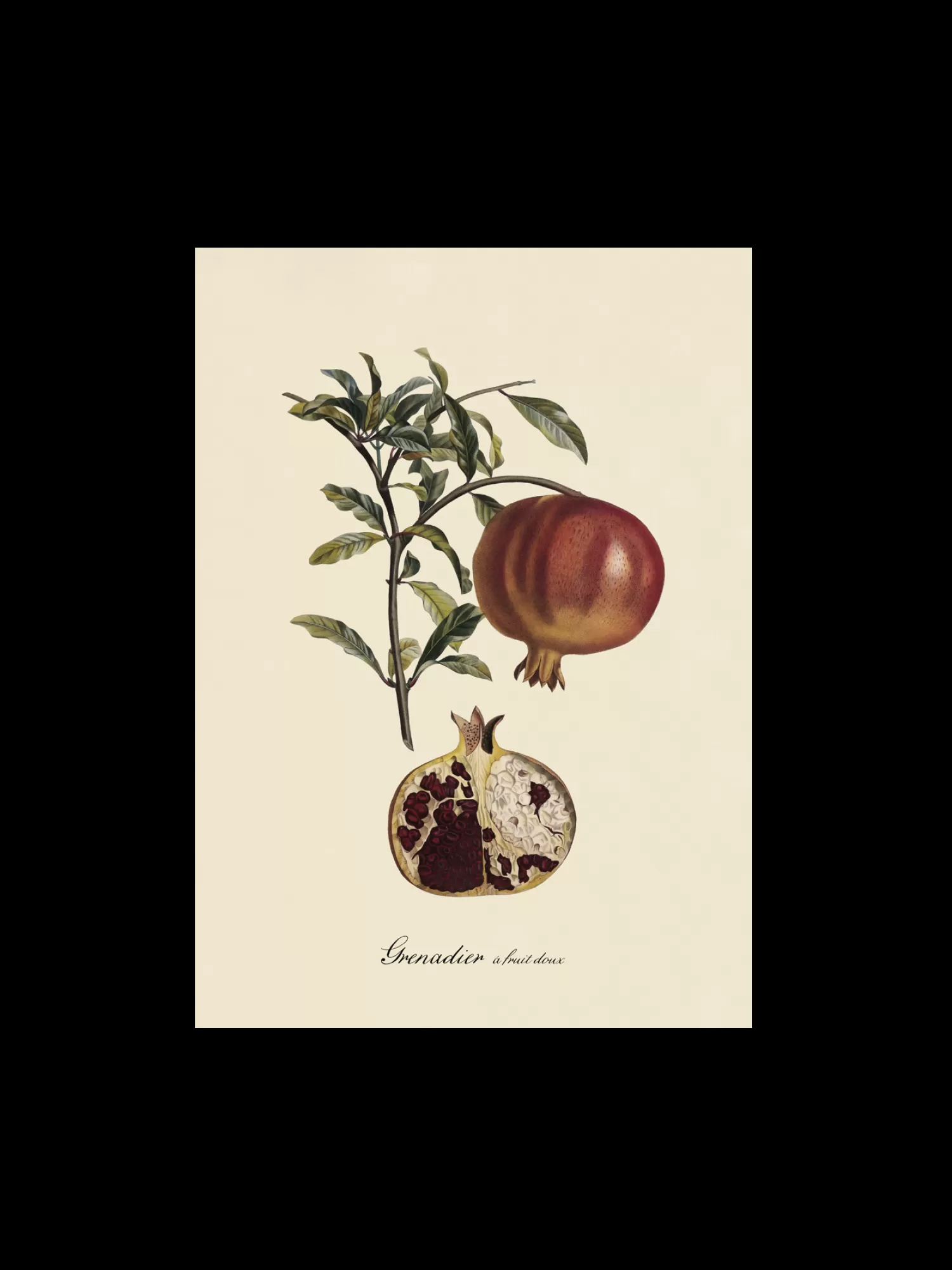 Plakat A3*Søstrene Grene Flash Sale