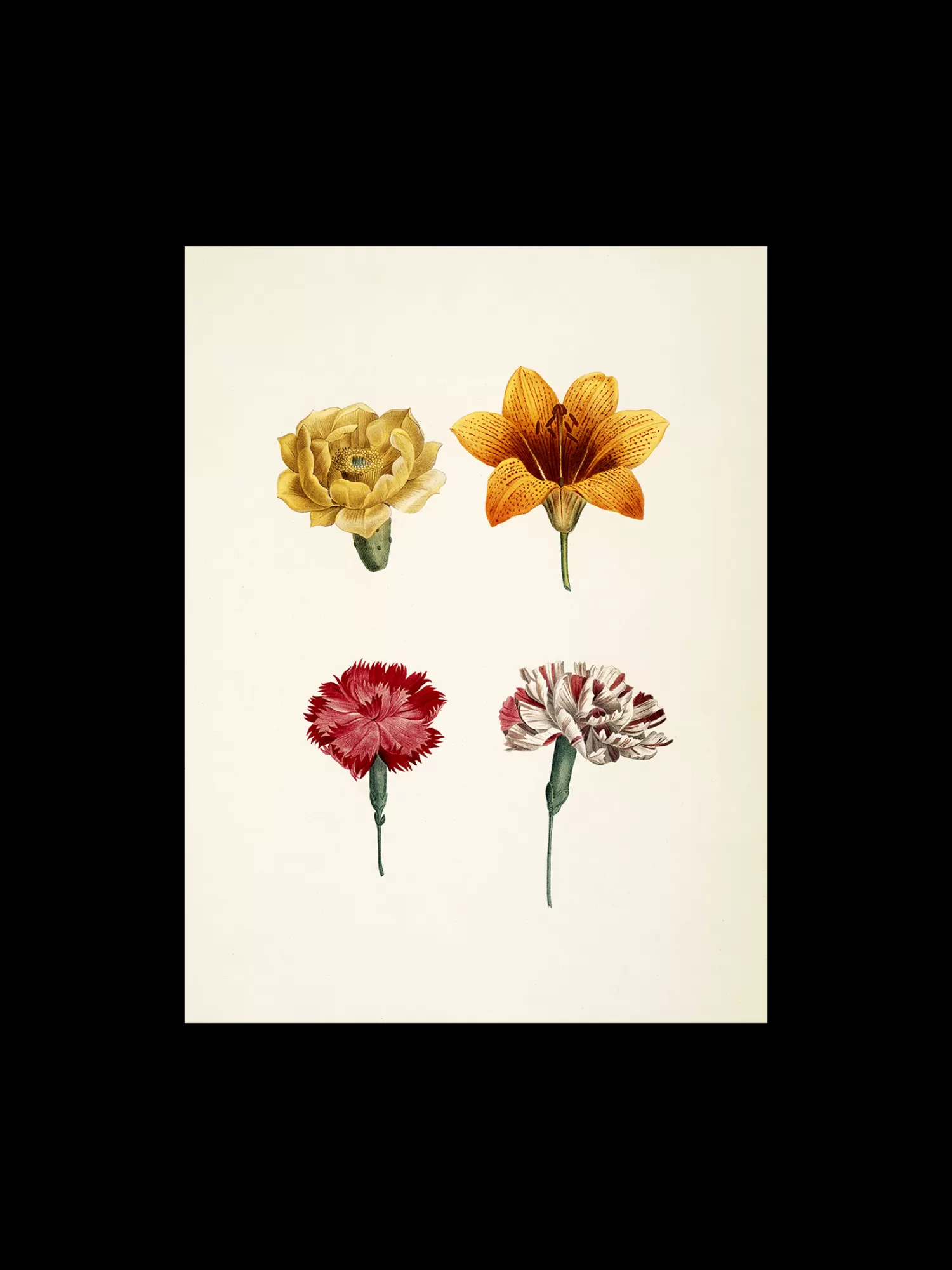 Plakat A3*Søstrene Grene Fashion