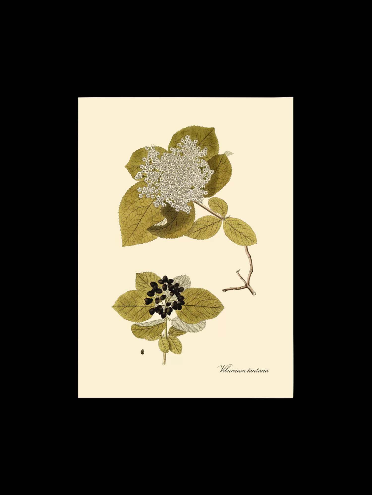 Plakat A3*Søstrene Grene Discount