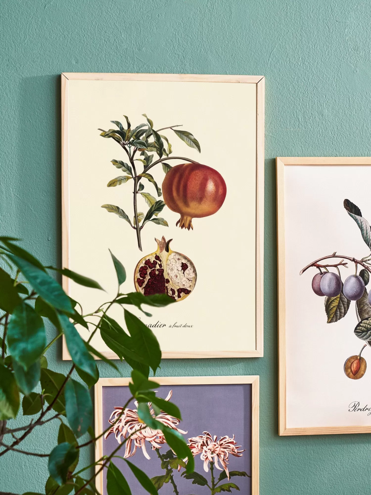 Plakat A3*Søstrene Grene Flash Sale