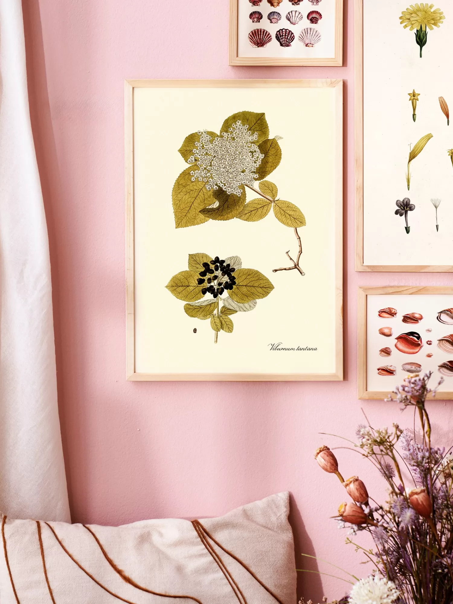 Plakat A3*Søstrene Grene Discount