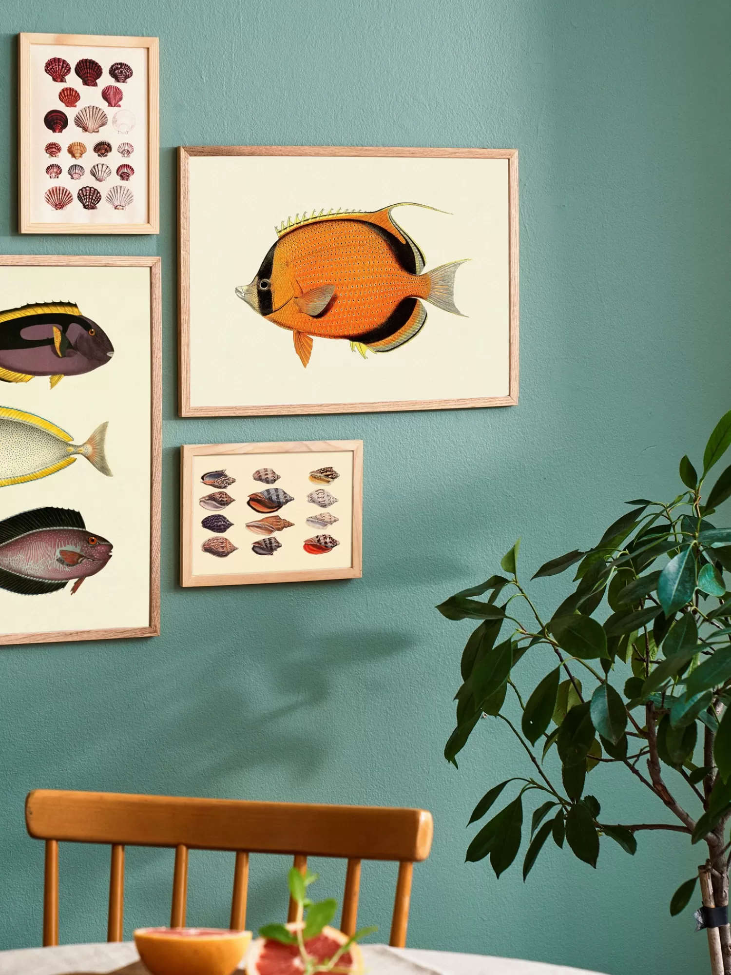 Plakat A3*Søstrene Grene Discount