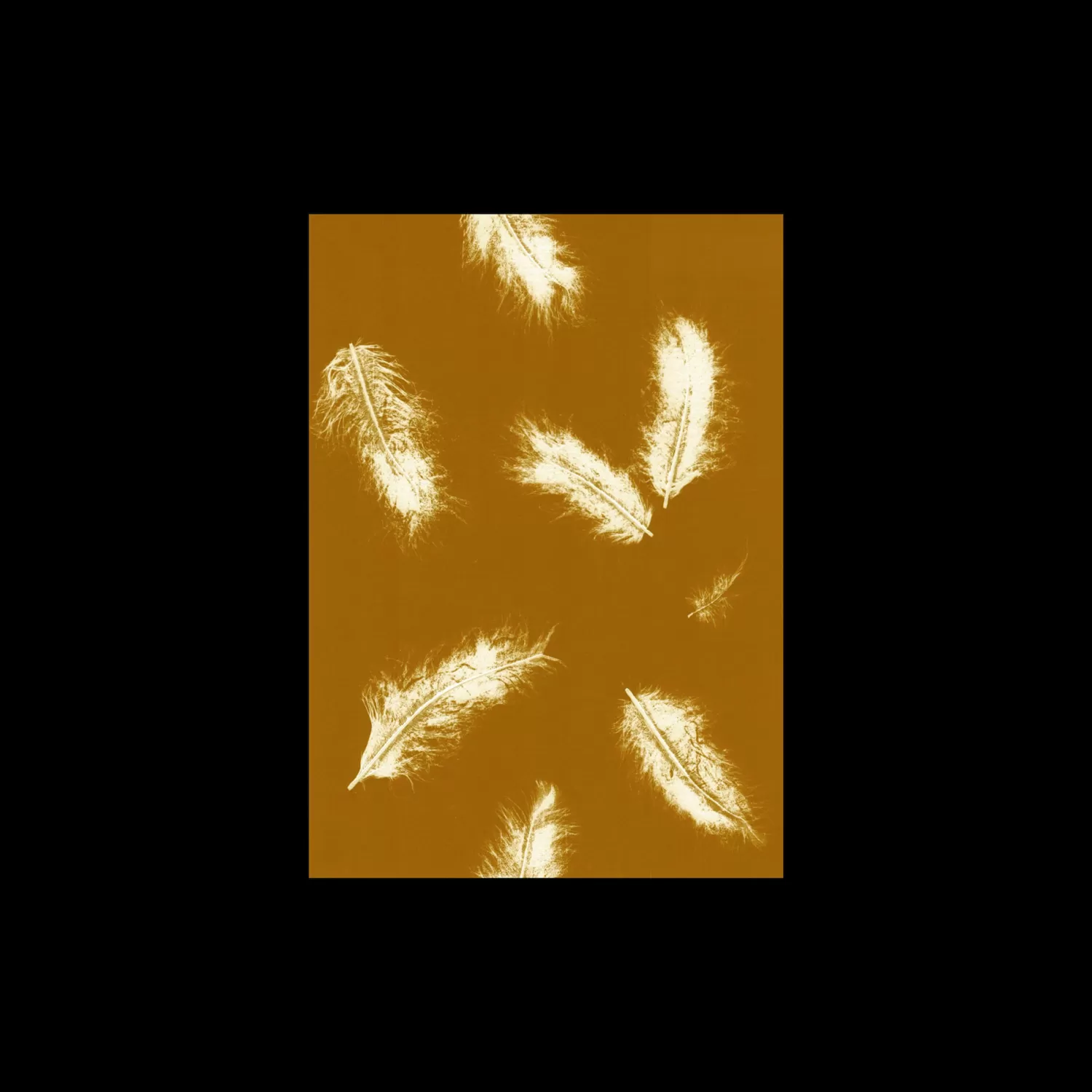Plakat Feather Dark Mustard 40 X 50 Cm*Søstrene Grene New