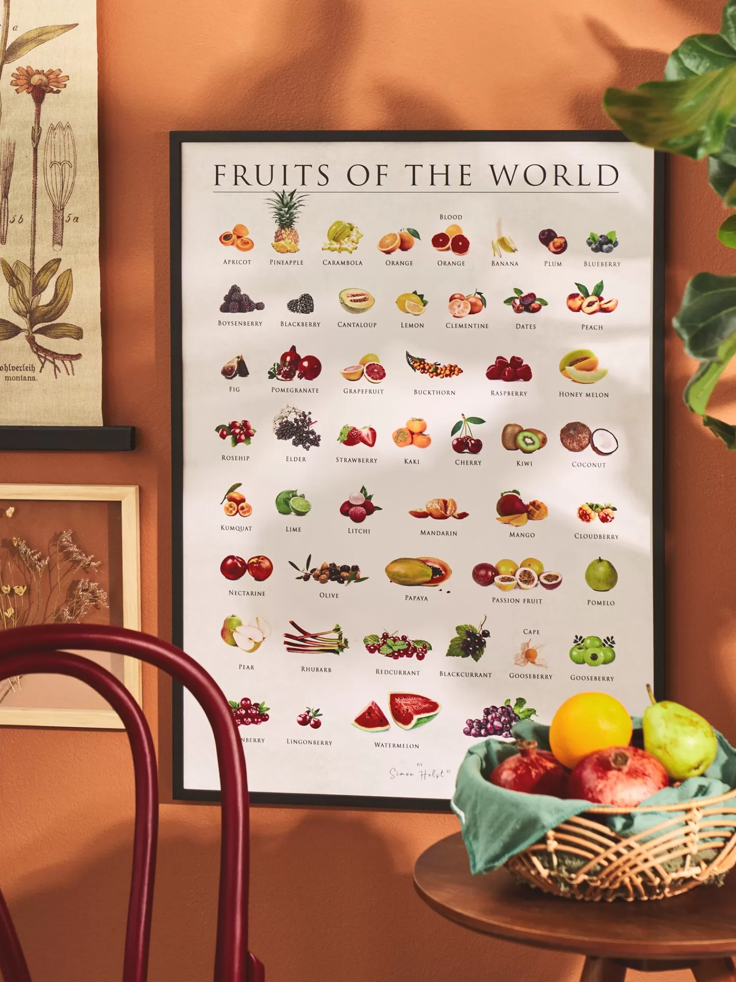 Plakat Fruits Of The World 50 X 70 Cm*Søstrene Grene Fashion